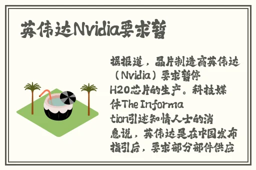 好色先生下载大全